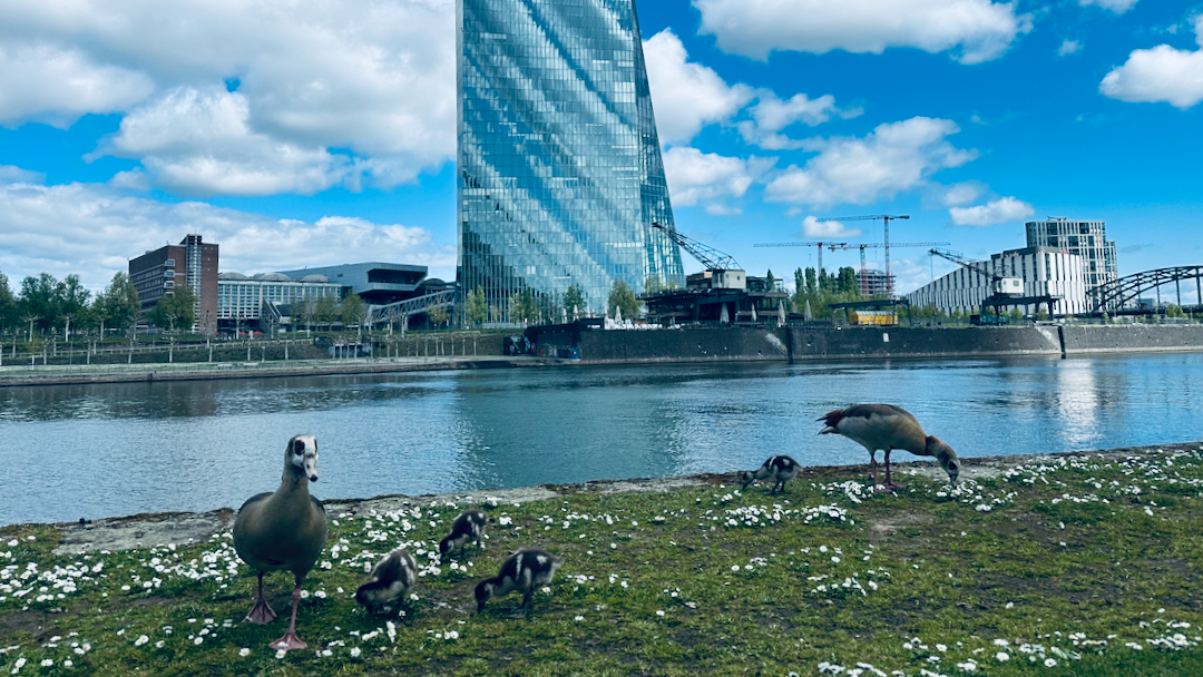 Allzeithoch im Krieg – die Märkte ignorieren das Offensichtliche